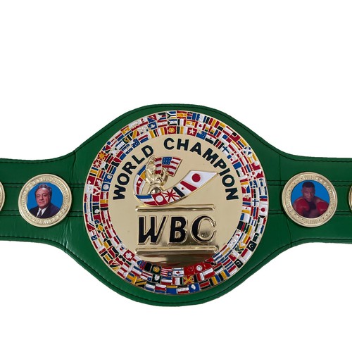 Wbc style boxing - style,