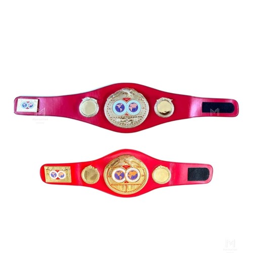 Ibf boxing replica - boxing,