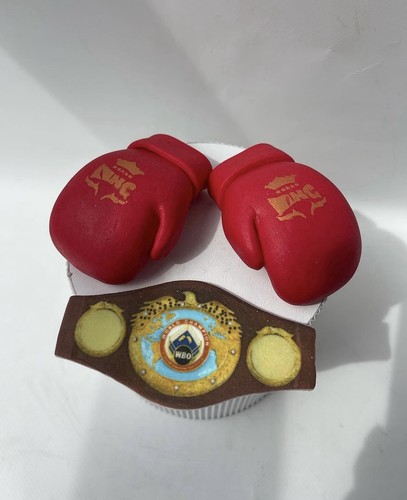 Boxing gloves championship - boxing,